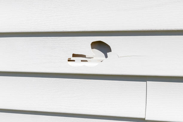 How To Choose The Right Materials for Your Siding Installation in 'Odenton, MD